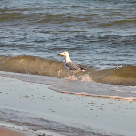 Haus Tanneck Whg 13 Kellenhusen