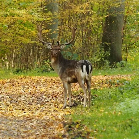 Haus Tanneck Whg 13 * Kellenhusen