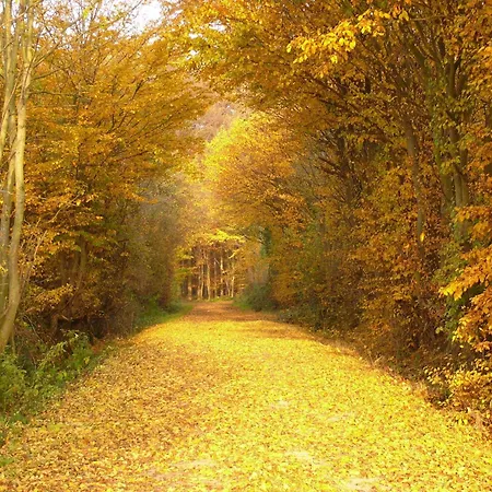 Haus Tanneck Whg 13 *